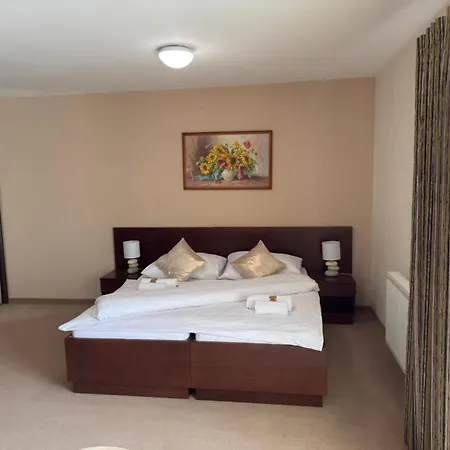 Guest house Siron Detva